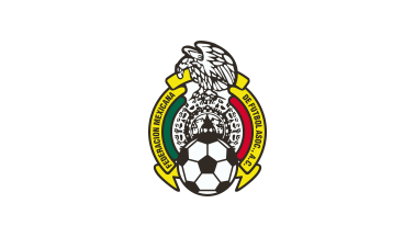 [2006-20009 Mexican Football Federation flag]