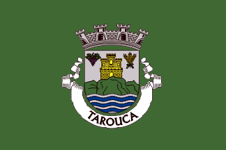 [Tarouca municipality]